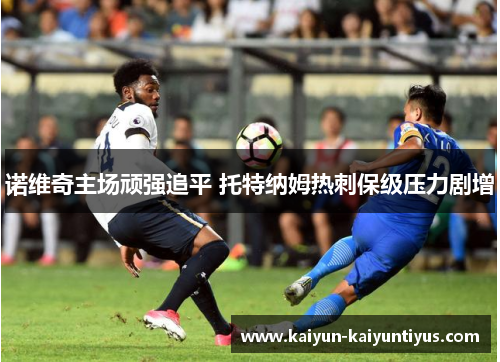 诺维奇主场顽强追平 托特纳姆热刺保级压力剧增