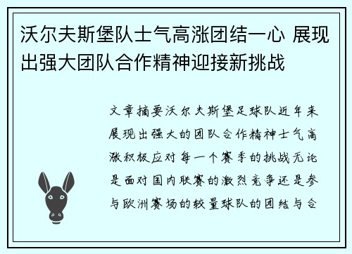 沃尔夫斯堡队士气高涨团结一心 展现出强大团队合作精神迎接新挑战