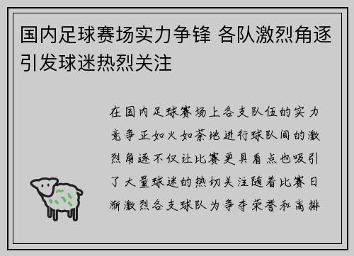 国内足球赛场实力争锋 各队激烈角逐引发球迷热烈关注